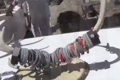 Scandinavian-braclet-booth_sm